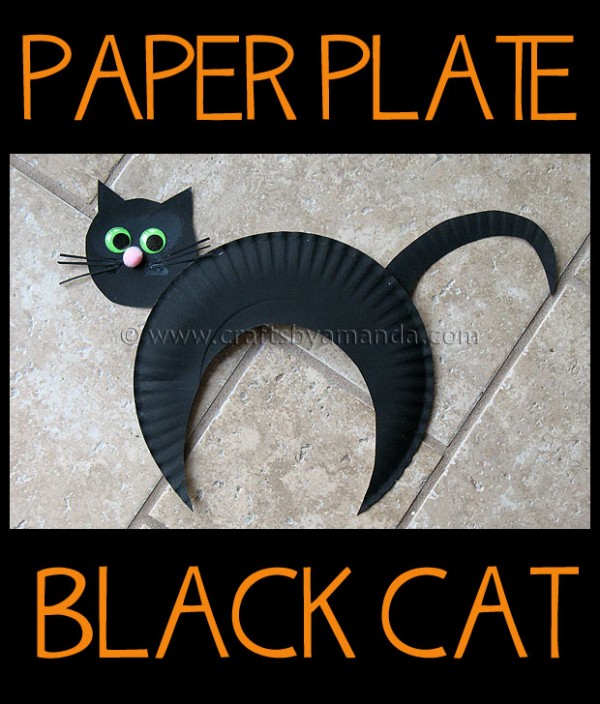 paperplate cat