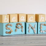 Seashell Beach Blocks