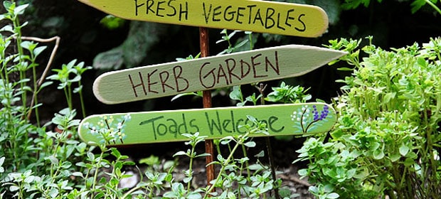 Herb Garden Sign: Toads Welcome