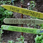 Herb Garden Sign: Toads Welcome CraftsbyAmanda.com