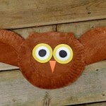owl1