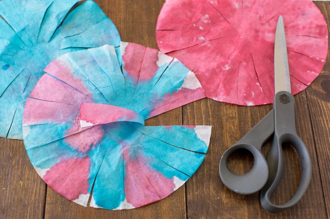 coffee filter that has been cut with scissors