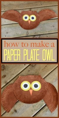 Paper Plate Owl Craft: make a cute owl from a paper plate