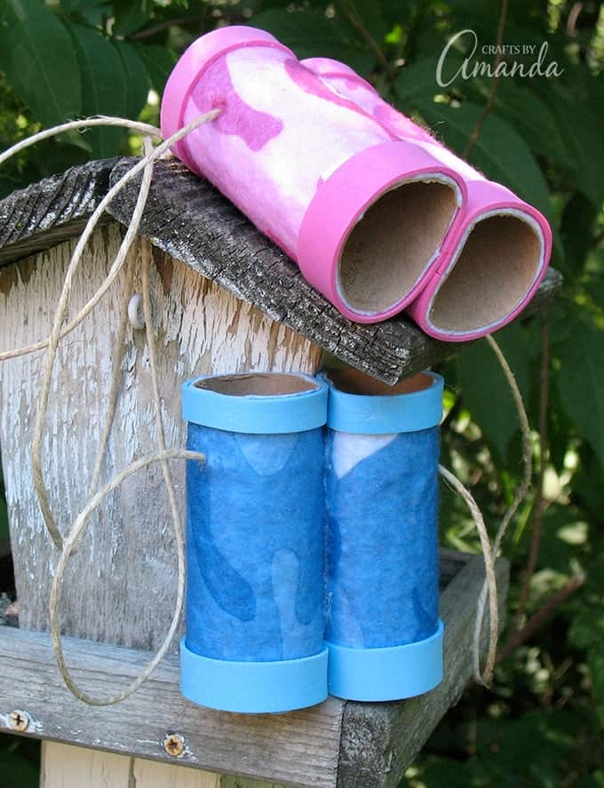 Cardboard Tube Binoculars the perfect spring and summer time kid's craft