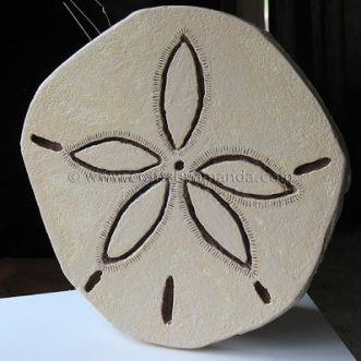 Giant Sand Dollar - Crafts by Amanda