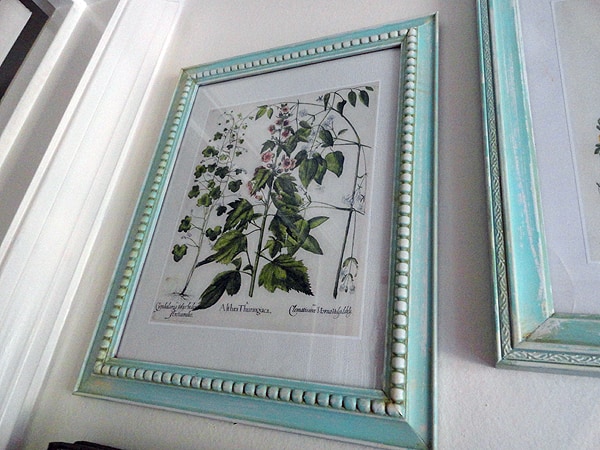 Aged Frames with Botanical Prints