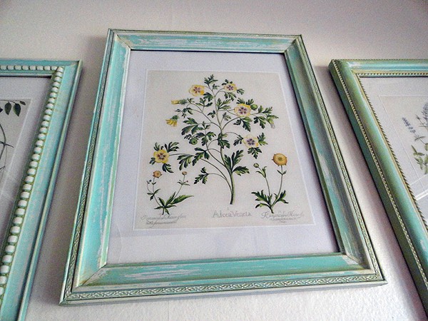 Aged Frames with Botanical Prints