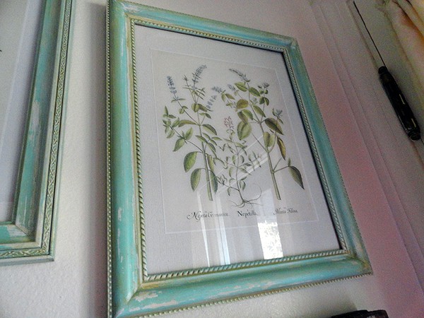 Aged Frames with Botanical Prints