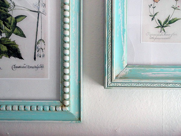 Aged Frames with Botanical Prints