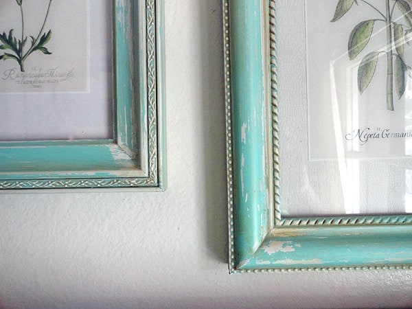 Aged Frames with Botanical Prints