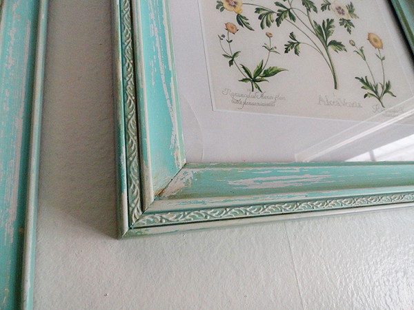 Aged Frames with Botanical Prints