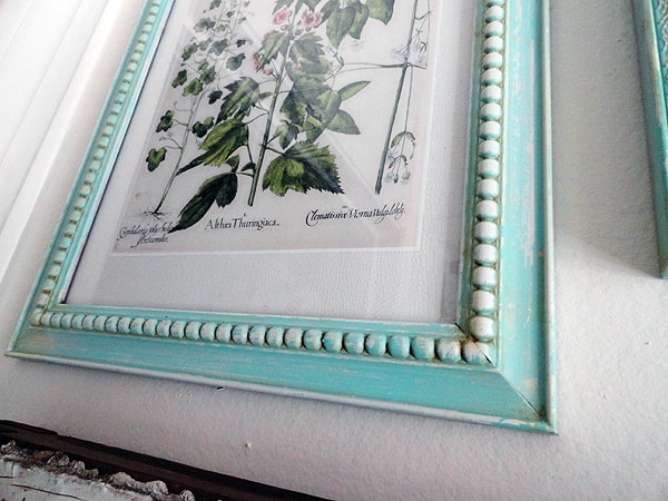 Aged Frames with Botanical Prints