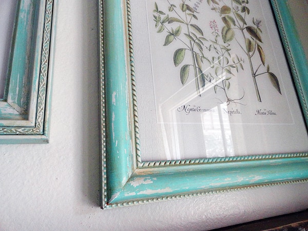 Aged Frames with Botanical Prints