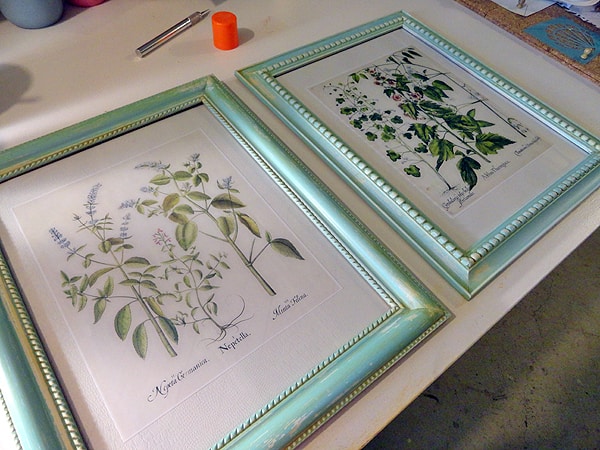 Aged Frames with Botanical Prints