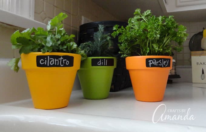 Chalkboard Herb Pots Tutorial