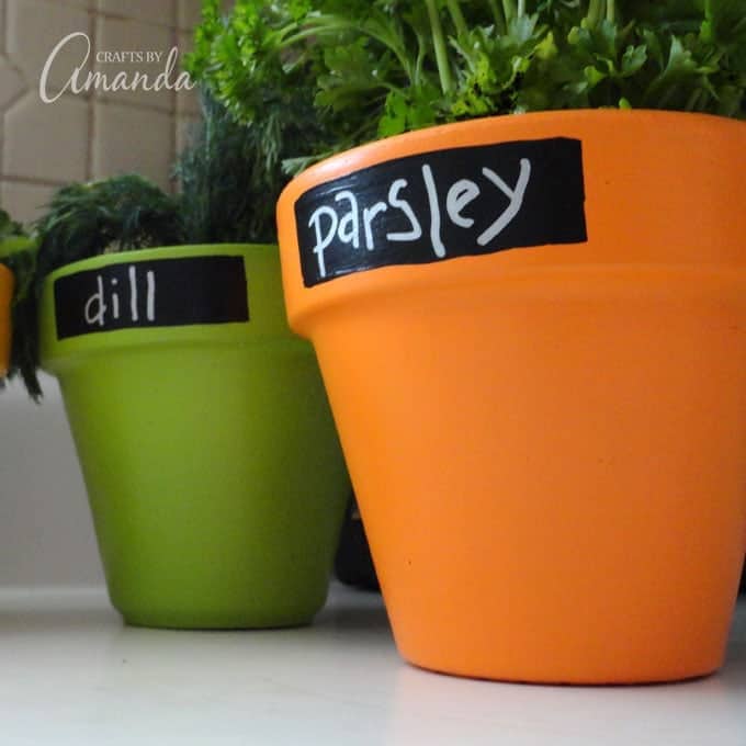 Chalkboard Herb Pots, parsley and dill