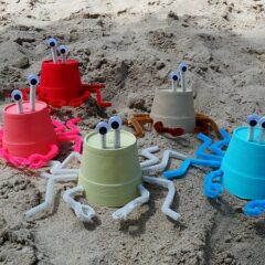 Styrofoam Cup Sea Crabs