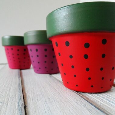 Strawberry Terra Cotta Pots