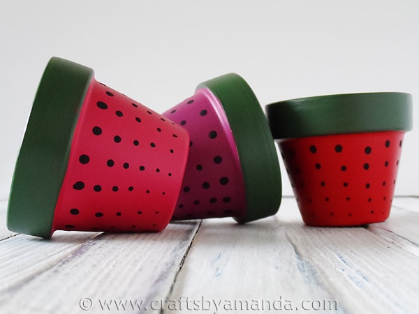 Strawberry Terra Cotta Pots