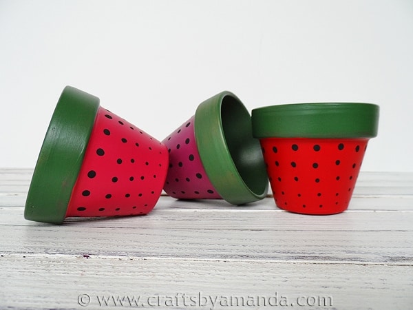 Strawberry Terra Cotta Pots