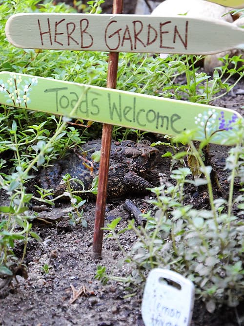 Herb Garden Sign: Toads Welcome CraftsbyAmanda.com