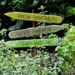 Herb Garden Sign
