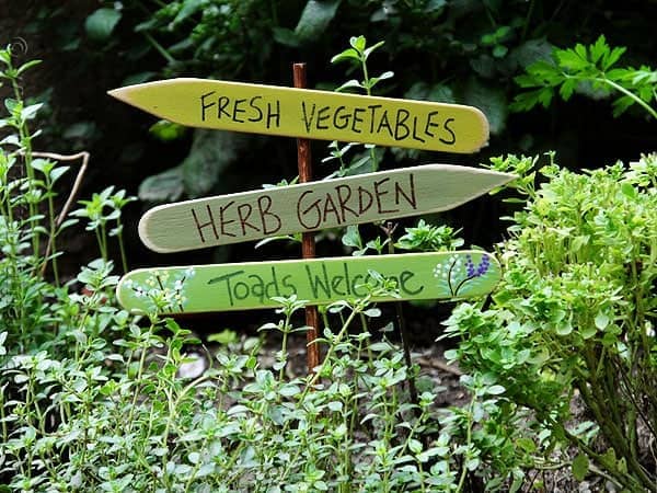 Herb Garden Sign: Toads Welcome CraftsbyAmanda.com