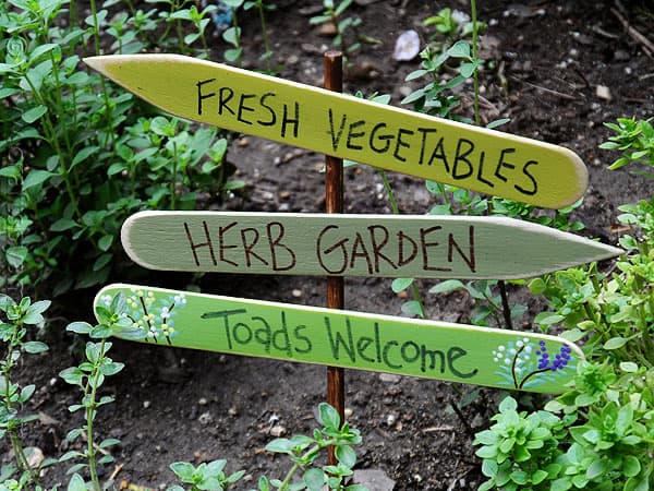 Herb Garden Sign: Toads Welcome CraftsbyAmanda.com