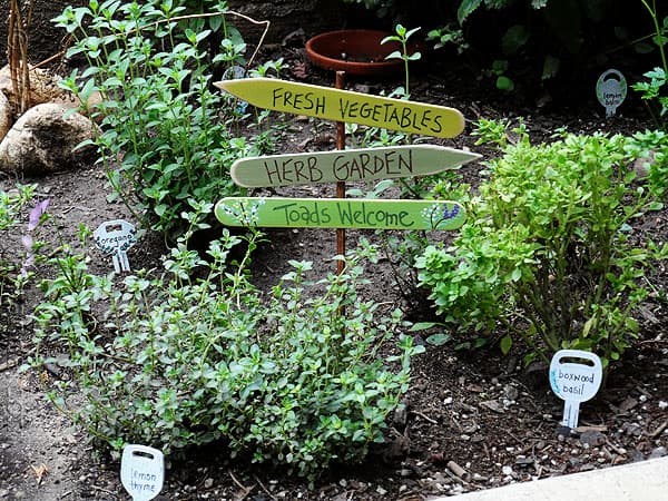 Herb Garden Sign: Toads Welcome CraftsbyAmanda.com