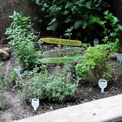 Herb Garden Sign: Toads Welcome CraftsbyAmanda.com