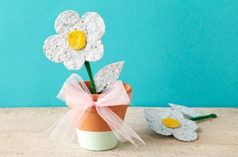 DIY Plantable Seed Paper Cards