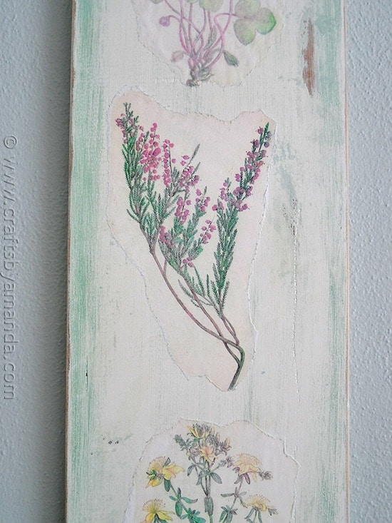 Vintage Wildflowers on Wood by CraftsbyAmanda.com @amandaformaro