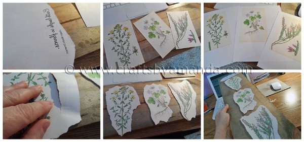 Vintage Wildflowers on Wood by CraftsbyAmanda.com @amandaformaro