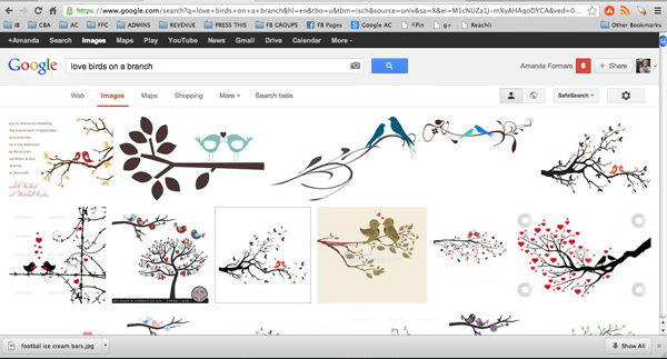 love birds on a branch google image results