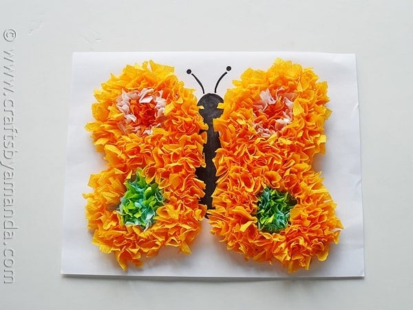 Butterfly Crafts: Make a Puffy Tissue Paper Butterfly from CraftsbyAmanda.com @amandaformaro