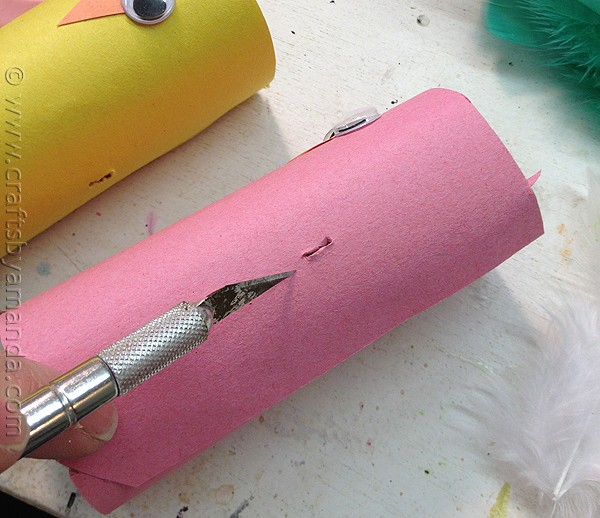 Spring Craft: Cardboard Tube Birds via CraftsbyAmanda.com @amandaformaro