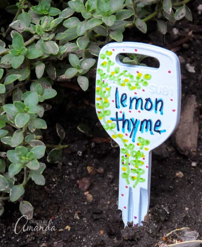 Recycled Key Garden Markers Lemon Thyme