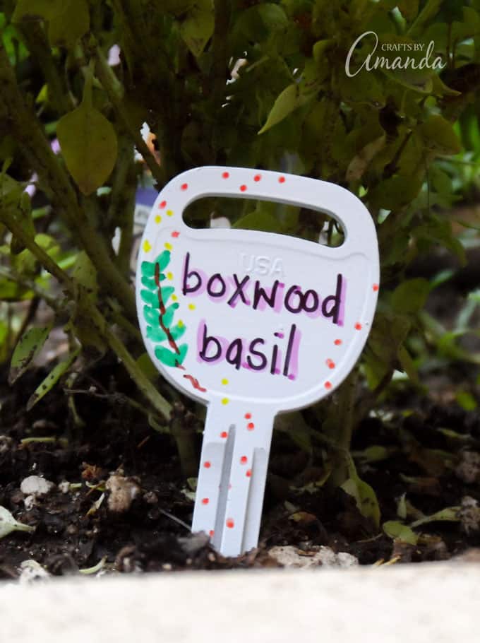 Recycled Key Garden Markers Boxwood Basil