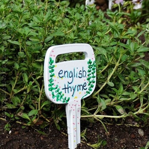 Make Plant Markers from Recycled Keys on CraftsbyAmanda.com @amandaformaro