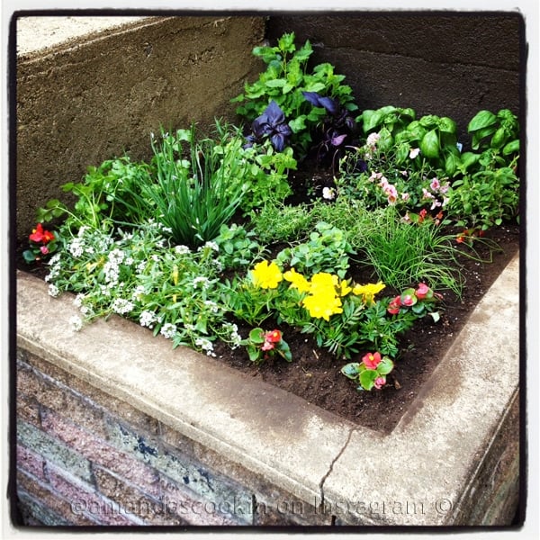 Make Plant Markers from Recycled Keys on CraftsbyAmanda.com @amandaformaro