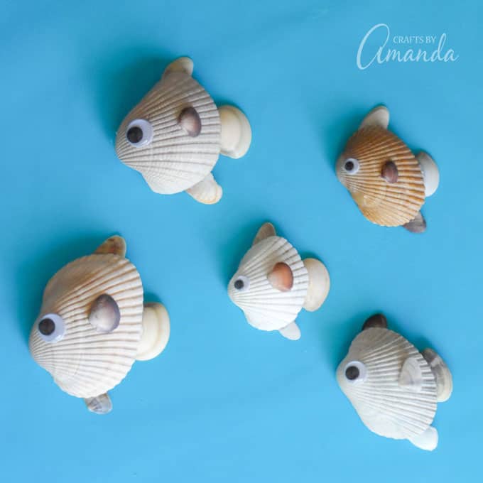 seashell fish craft 680