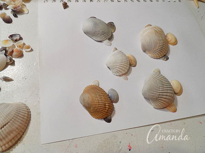 making fish out of seashells