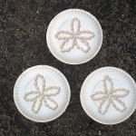 Paper Plate Sand Dollars