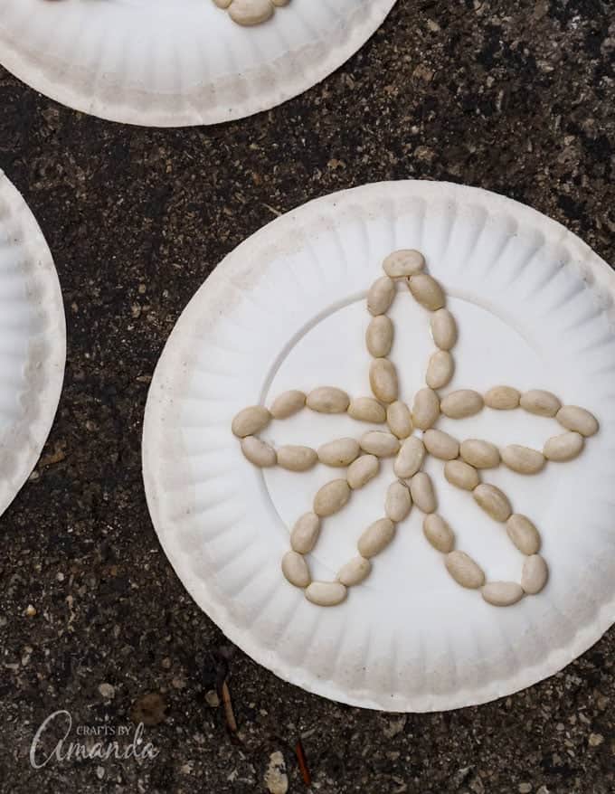White beans shaped like a sand dollar on a paper plate