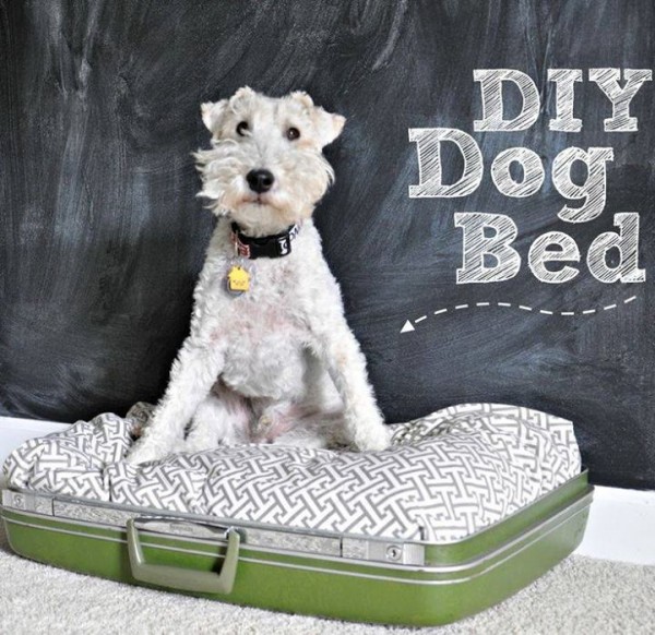 Favorite Craft Projects for February 2014 @amandaformaro