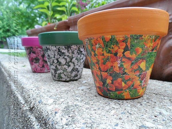 What a fun spring project! Decoupage clay pots with seed packets!