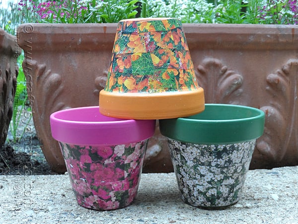 This is a great summer project, decoupage some seed packets onto painted clay pots.