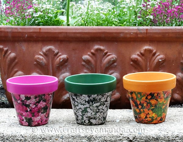 These decoupage clay pots use seed packets to decorate them, cute!