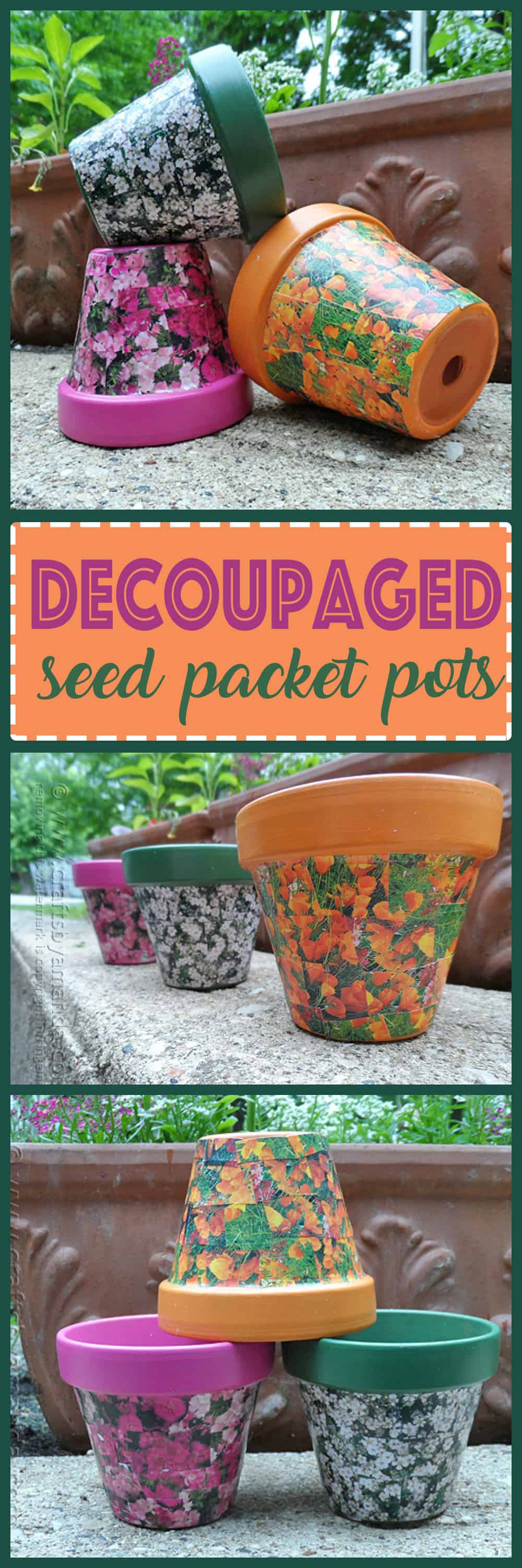 Why not recycle your seed packets and create adorable decoupaged seed packet terra cotta pots for the garden!