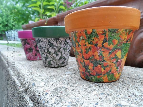 Seed Packet Decoupage Clay Pots - Crafts by Amanda
